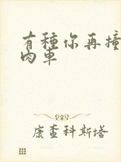 有种你再撞一下肉车