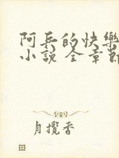 阿兵的快乐生活小说 全章节阅读免费