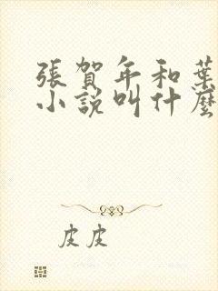 张贺年和叶繁姿小说叫什么名字