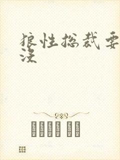 狼性总裁要够了没