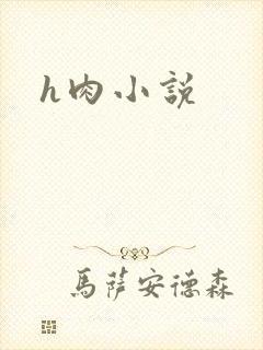 h肉小说