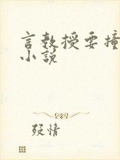 言教授要撞坏了小说