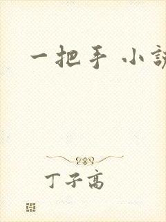 一把手 小说