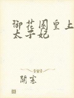 御花园皇上撞着太子妃