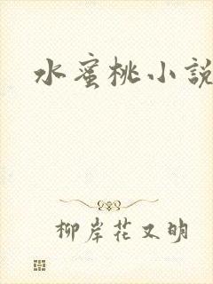 水蜜桃小说