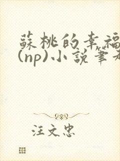 苏桃的幸福生活(np)小说笔趣阁沐沐