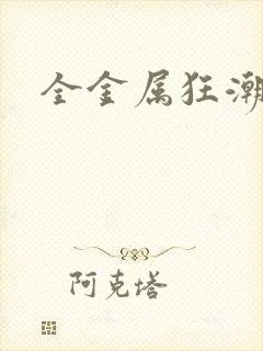 全金属狂潮小说