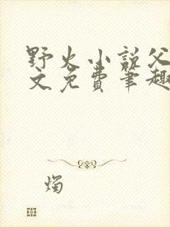 野火小说父女全文免费笔趣阁