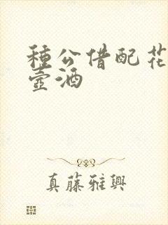 种公借配花间一壶酒