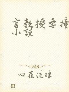 言教授要撞坏了小说