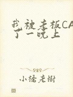 我被老板CAO了一晚上