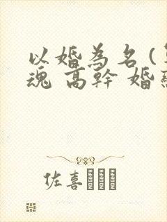以婚为名 (军魂 高干 婚恋)
