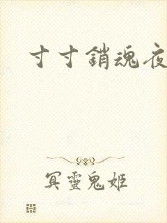 寸寸销魂夜春光