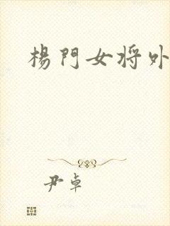 杨门女将外传