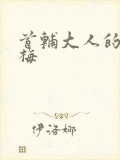 首辅大人的小青梅