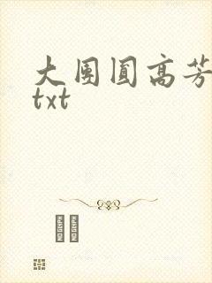 大团圆高芳小说txt