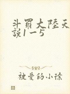 斗罗大陆天狂传说1一5