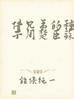 借兄弟的种生孩子周楚臣苏糖