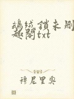 鹅绒锁未删除笔趣阁txt