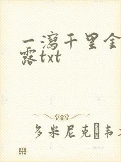 一泻千里金银花露txt