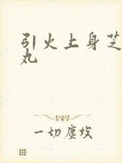 引火上身芝麻糖丸