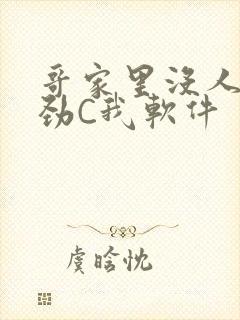 哥家里没人使点劲C我软件