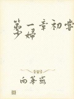 第一章初尝极品少妇