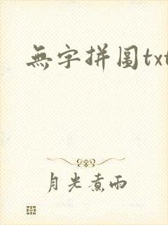 无字拼图txt