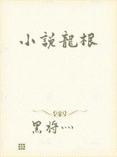 小说龙根