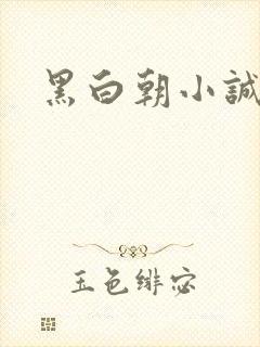 黑白朝小诚