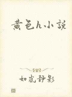 黄色h小说