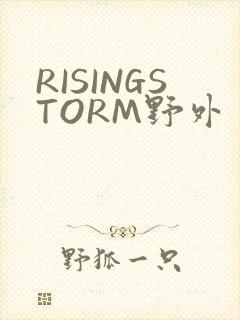 RISINGSTORM野外