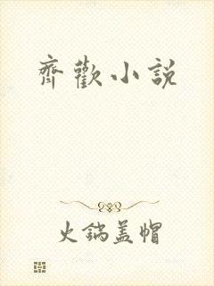 齐欢小说