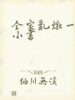 全家乱炖一锅烩小书