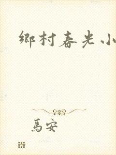 乡村春光小说
