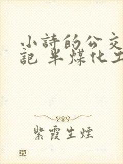 小诗的公交车日记 半煤化工