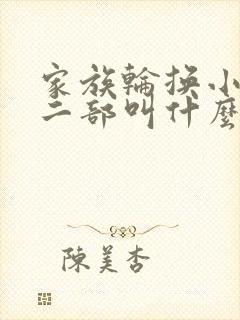 家族轮换小说第二部叫什么名字