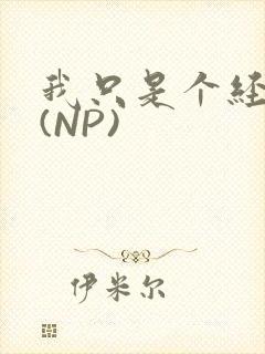 我只是个经纪人(NP)