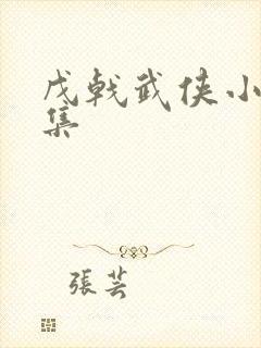 戊戟武侠小说全集