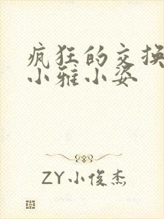 疯狂的交换小静小雅小姿