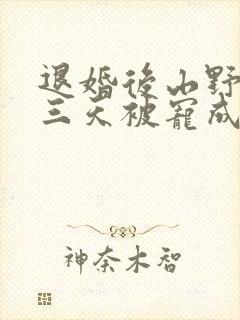 退婚后山野糙汉三天被宠成宝小说