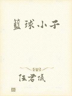 篮球小子