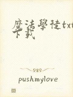 魔法学徒txt下载