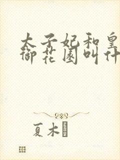 太子妃和皇帝在御花园叫什么小说