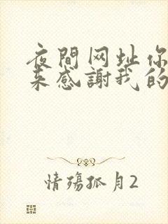 夜间网址你会回来感谢我的