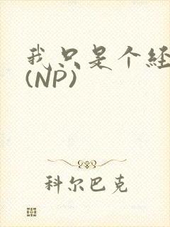 我只是个经纪人(NP)