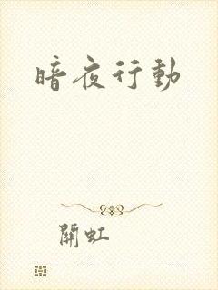 暗夜行动