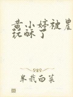 黄小婷被农民工玩酥了