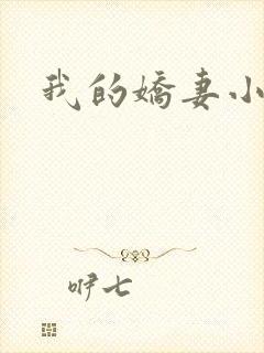 我的娇妻小说