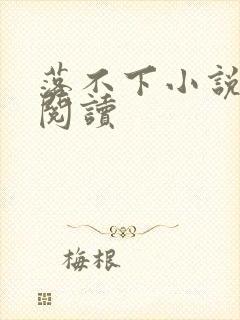 落不下小说全文阅读